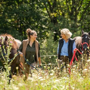 Co – Therapeut:innen auf vier Beinen